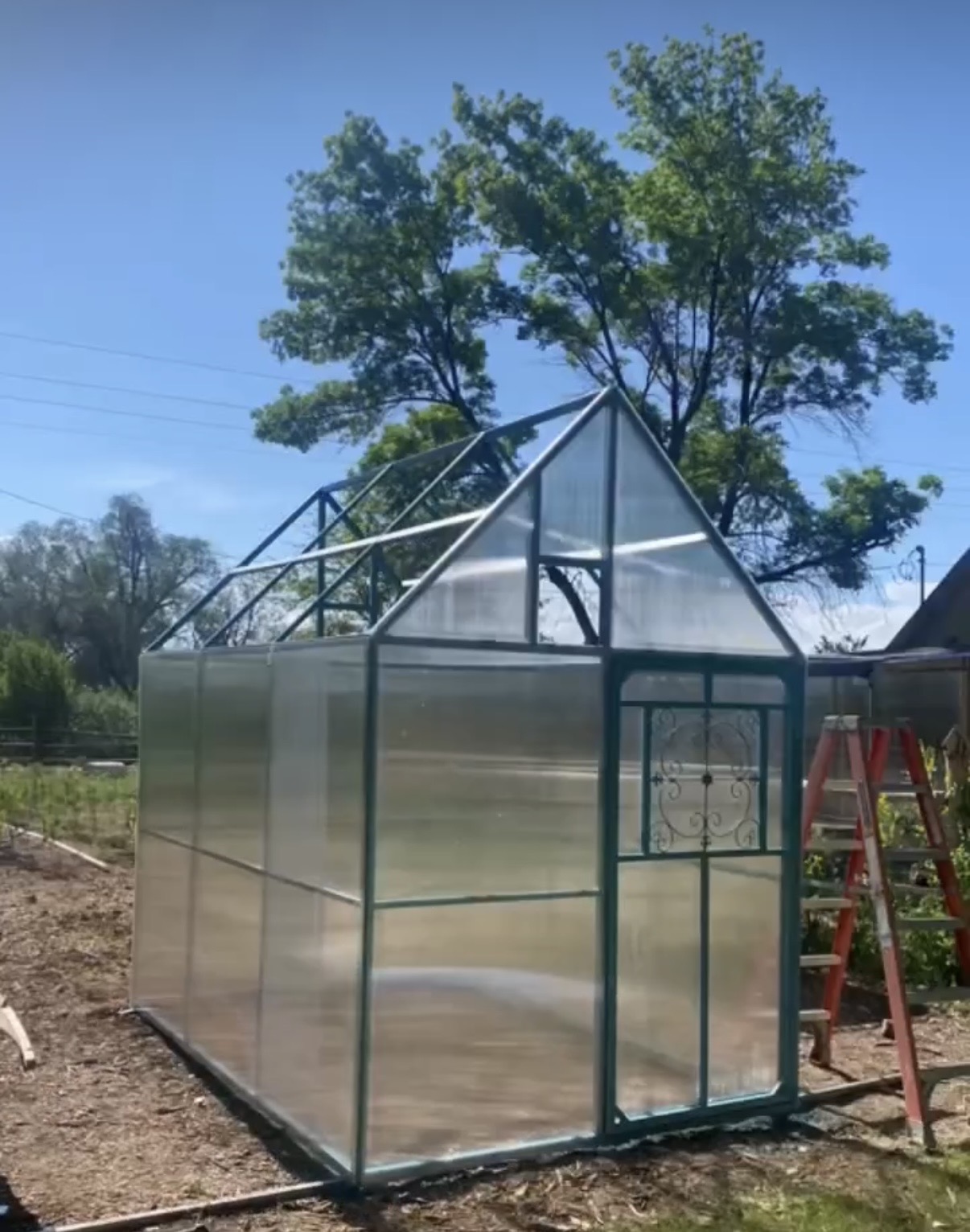 Blue greenhouse construction