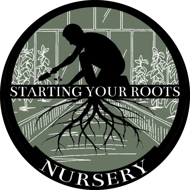 Starting Your Roots Logo